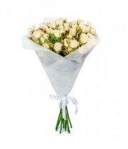 Bush rose Tenderness